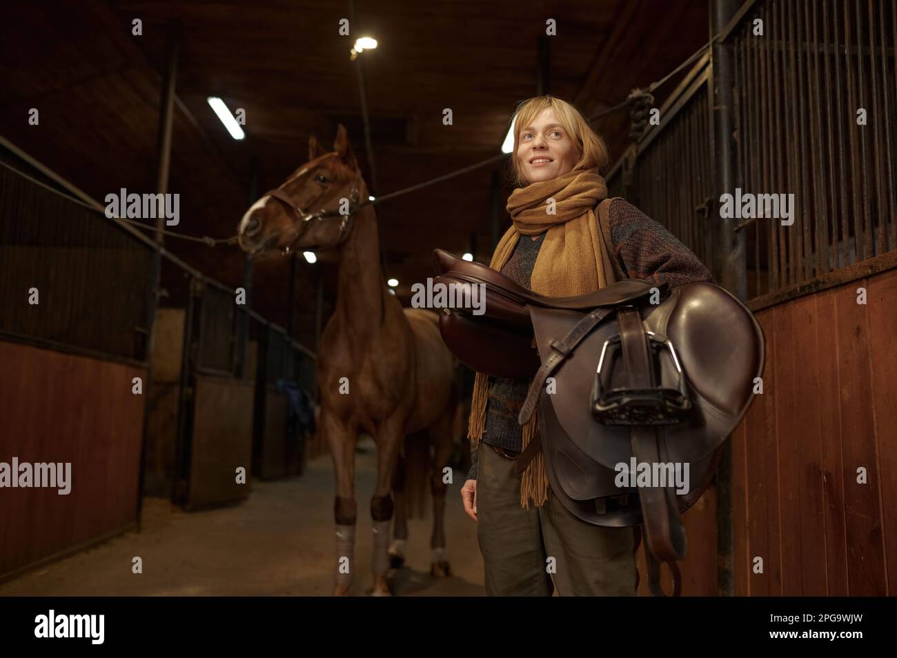 Jinete de la mujer de pie y sosteniendo silla de montar en la mano sobre su caballo en establo Foto de stock