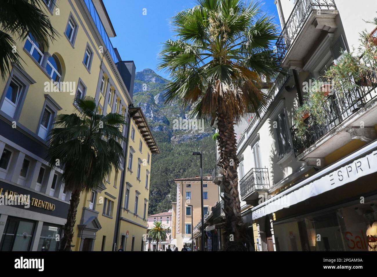 Calle comercial en Riva, Lago de Garda, Italia con palmeras y montañas atonó la arquitectura tradicional Foto de stock