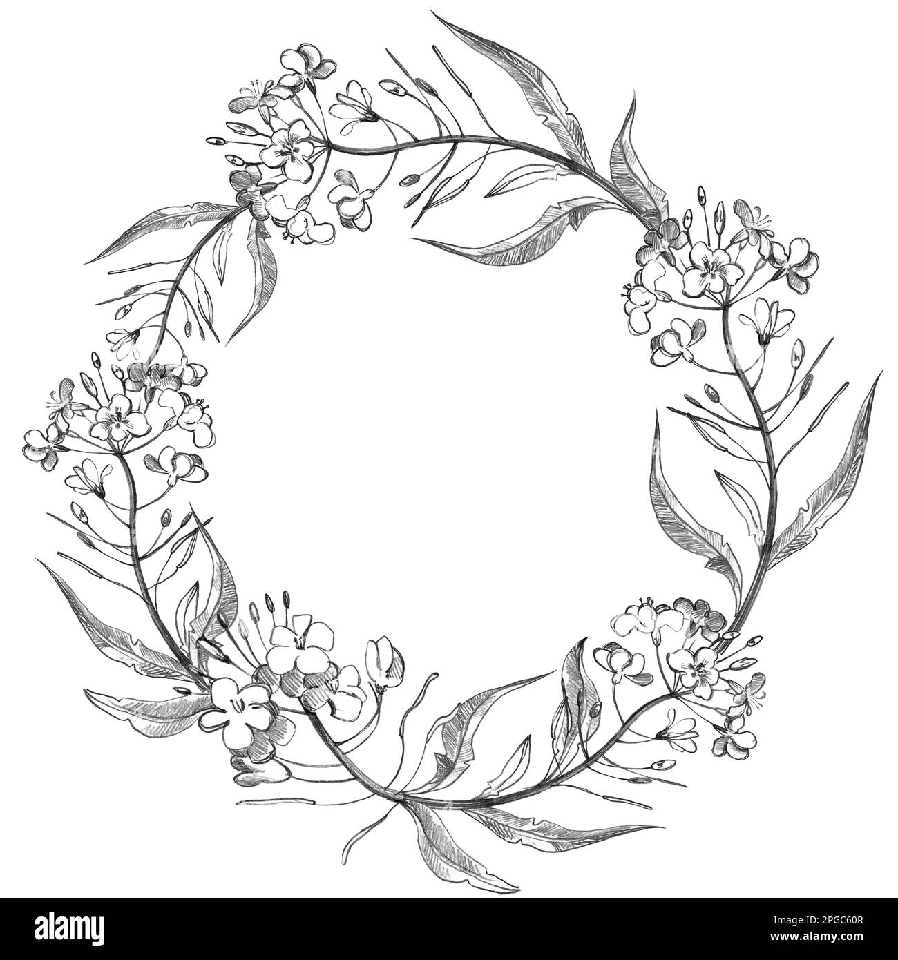Mano dibujar patrón redondo floral en estilo vintage. Flores, hojas y hierbas. Ilustraciones botánicas. Foto de stock