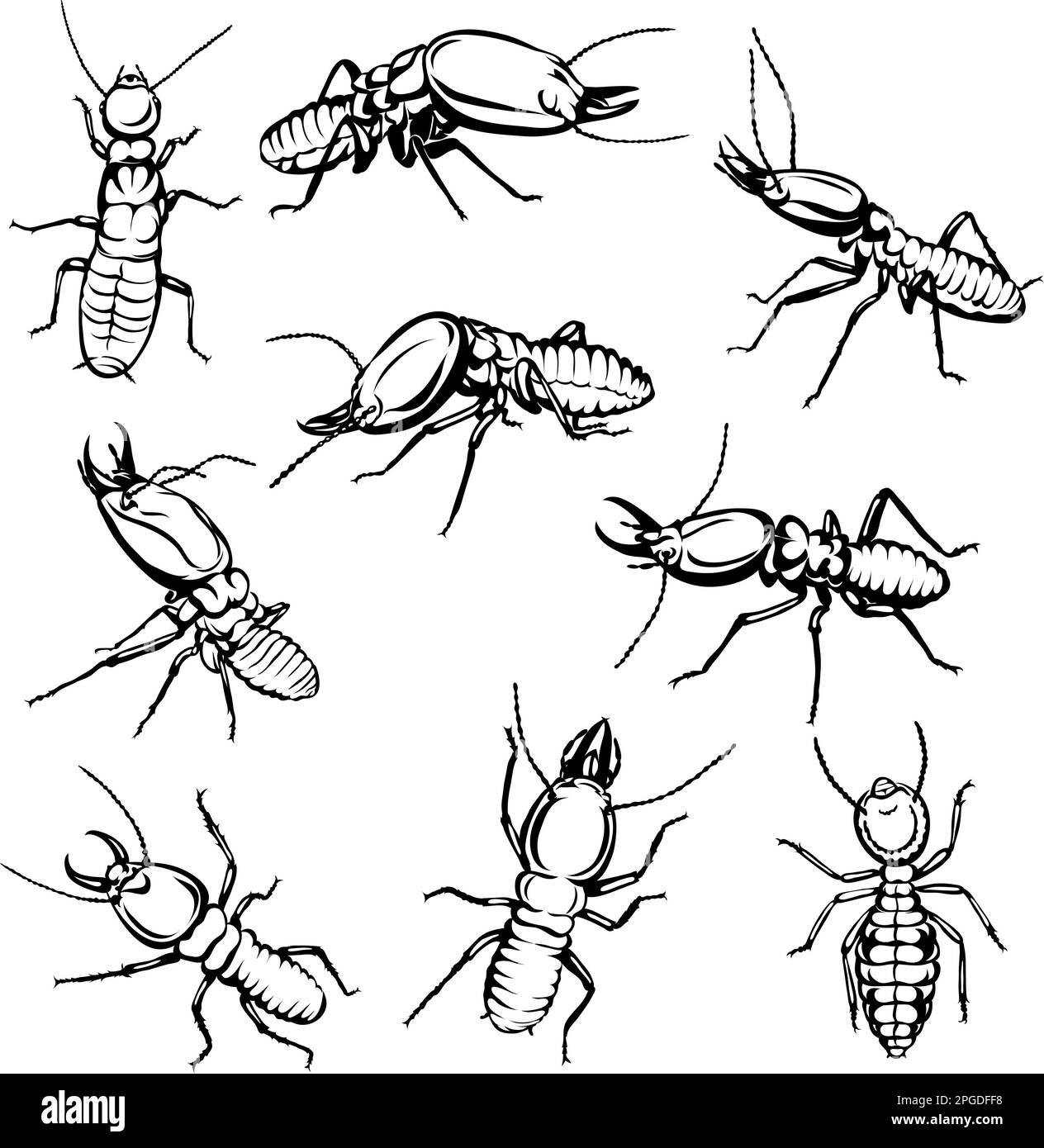 termita, insecto, varias poses, movimientos y ángulos, negro, blanco, silueta, vector, dibujo, conjunto, boceto, hormiguero, línea, trazo, naturaleza Ilustración del Vector