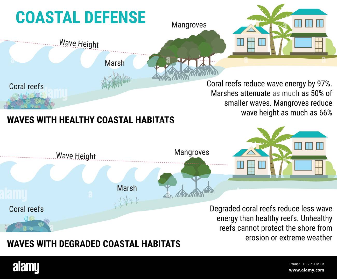 Infografía del aumento del nivel del mar. Defensas costeras al aumento del nivel del mar - manglares, marismas, arrecifes de coral, diques. Protección contra inundaciones. Calentamiento global y clima Ilustración del Vector