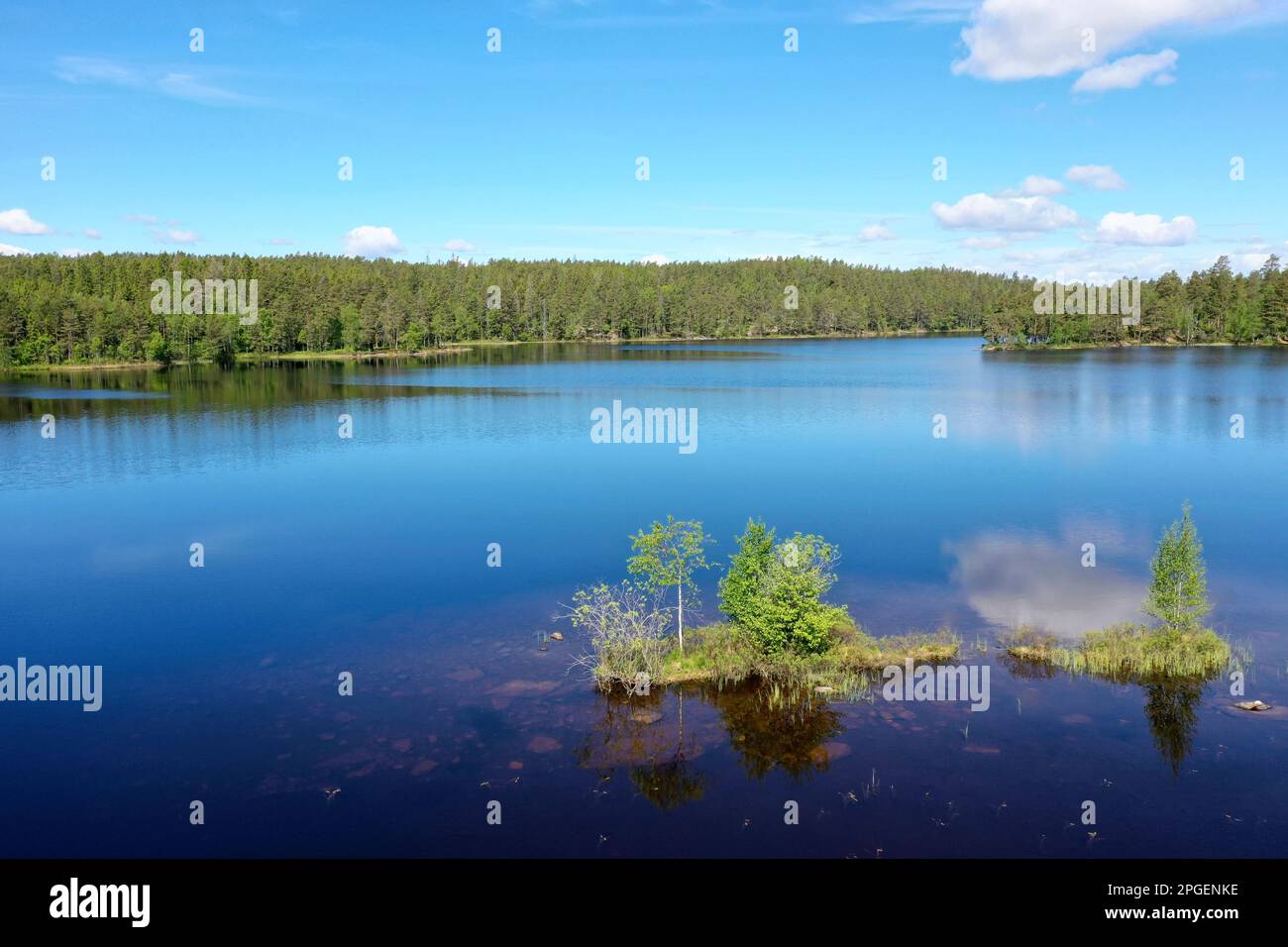 Véase, Teich in Schweden, Storetjämet in der Nähe von Svarrjärn in Mittelschweden, Värmland Foto de stock