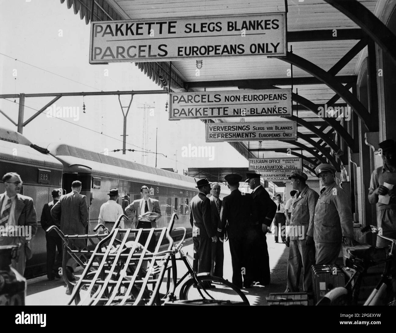 Sudáfrica, alrededor de 1960 Imagen histórica de una estación ferroviaria de Cape donde una plataforma es solo para personas blancas. Las personas blancas y negras están separadas Foto de stock
