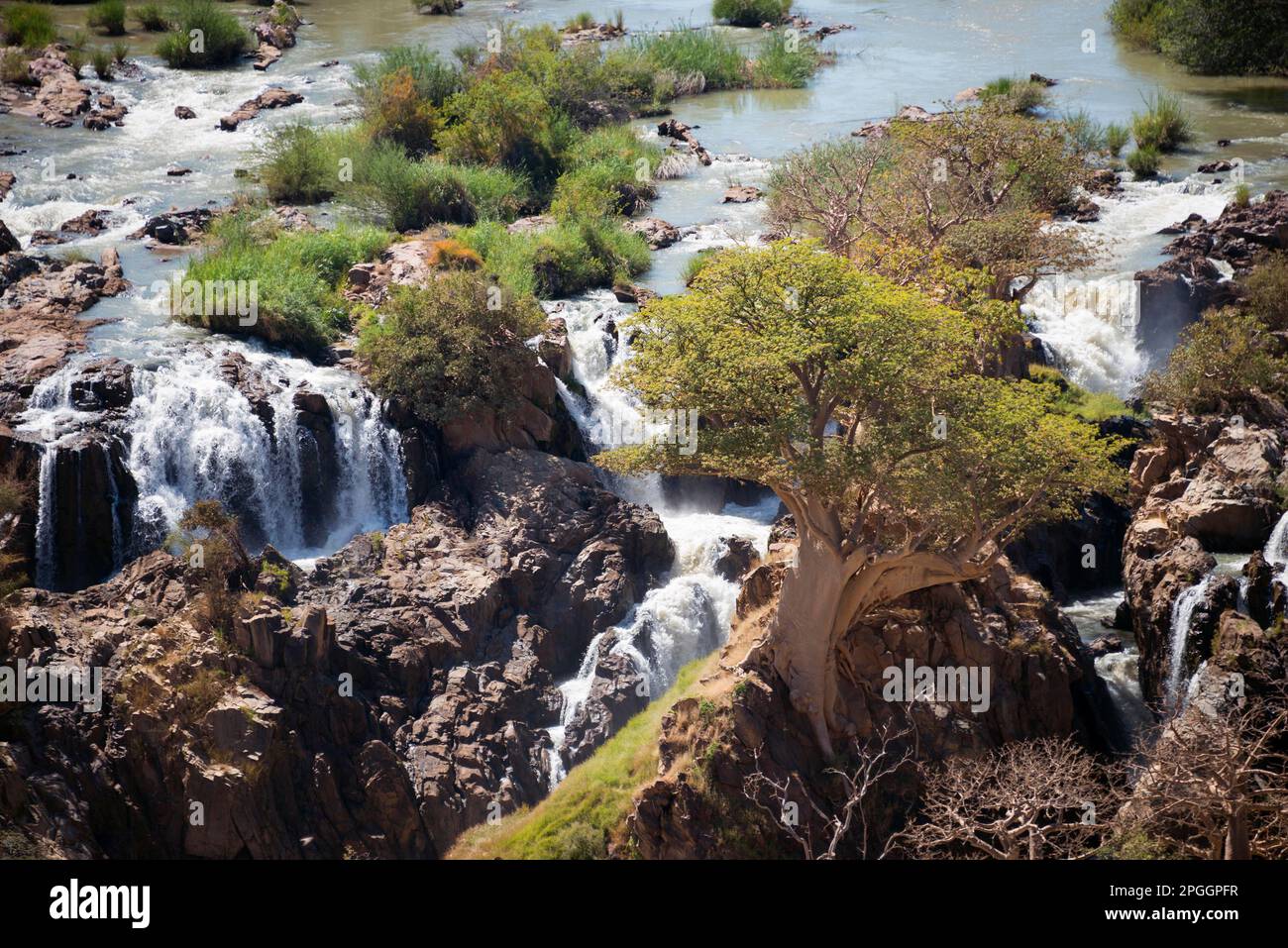Epupa Waterfall, Cascadas, Cataratas, River Kunene, Kaokoveld, Namibia Foto de stock
