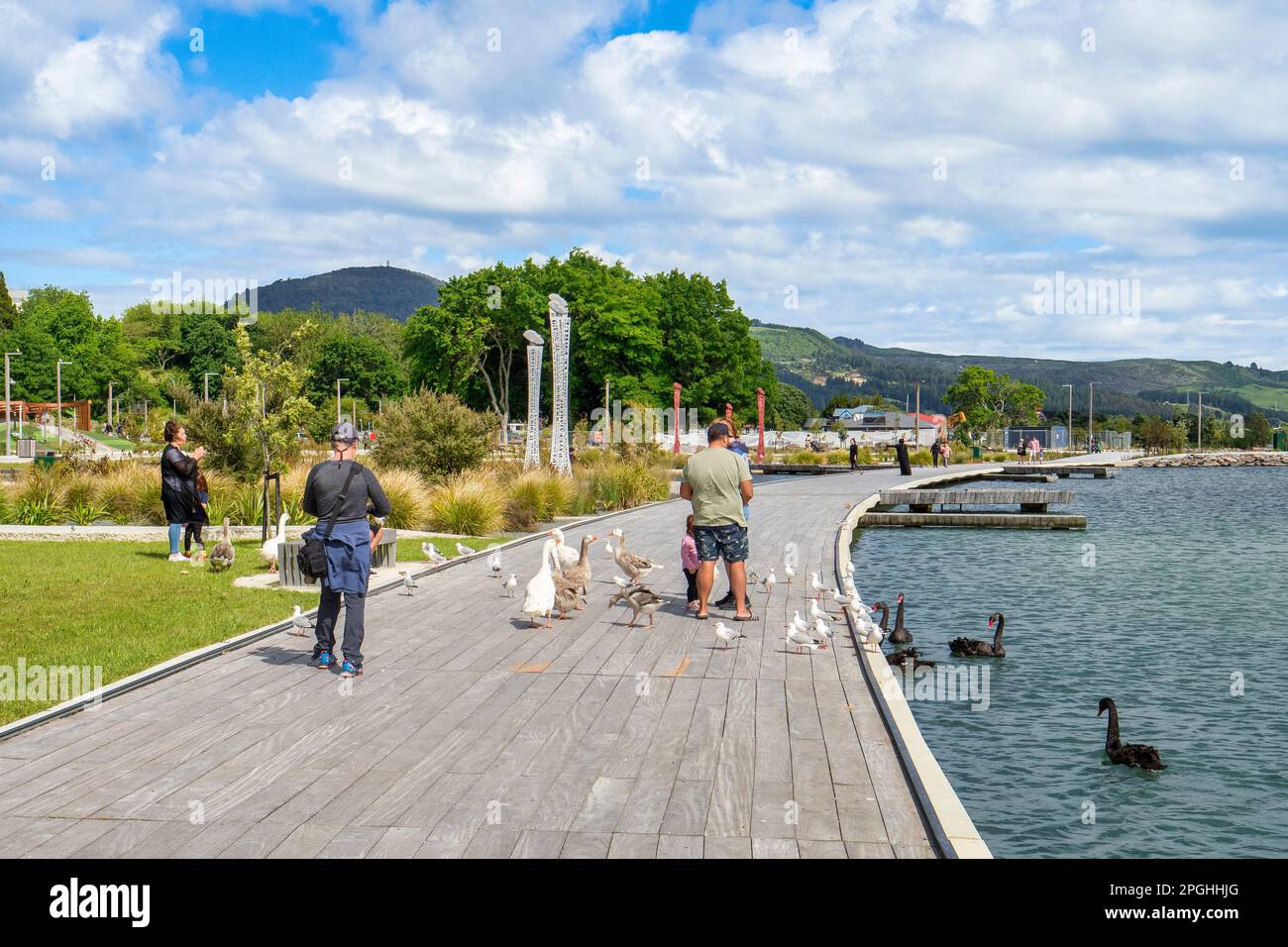 3 de diciembre de 2022: Lago Rotorua, Bahía de Plenty, Nueva Zelanda - Las familias alimentan a las gaviotas, gansos y cisnes negros en la Reserva frente al lago, un nuevo $ 40... Foto de stock