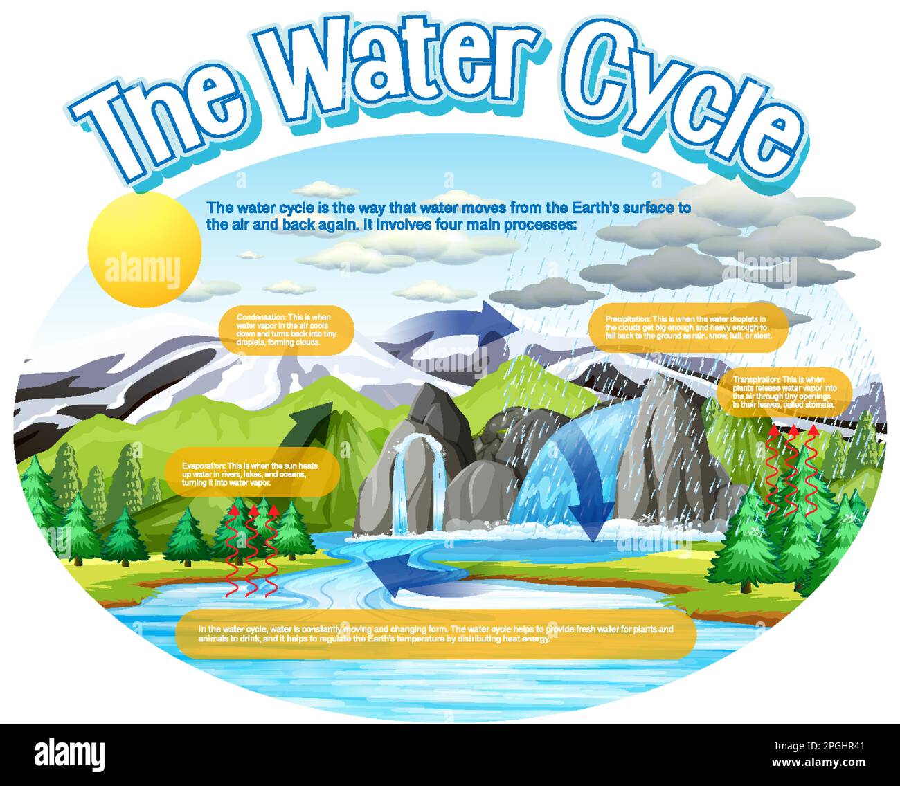 El diagrama del ciclo del agua para la ilustración de la educación de
