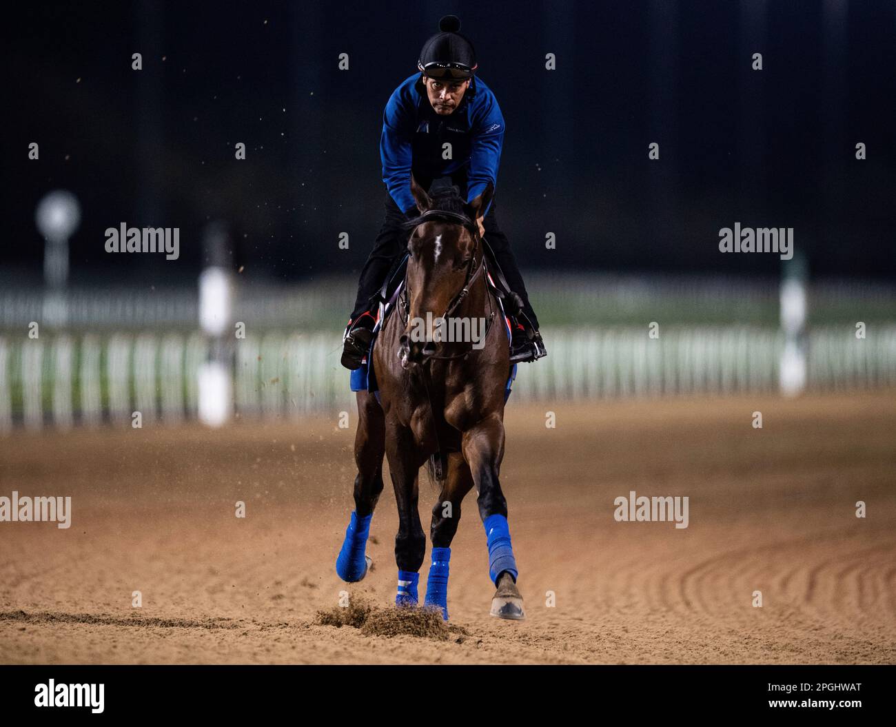 Last year's Dubai World Cup winner Country Grammer gallops in the early