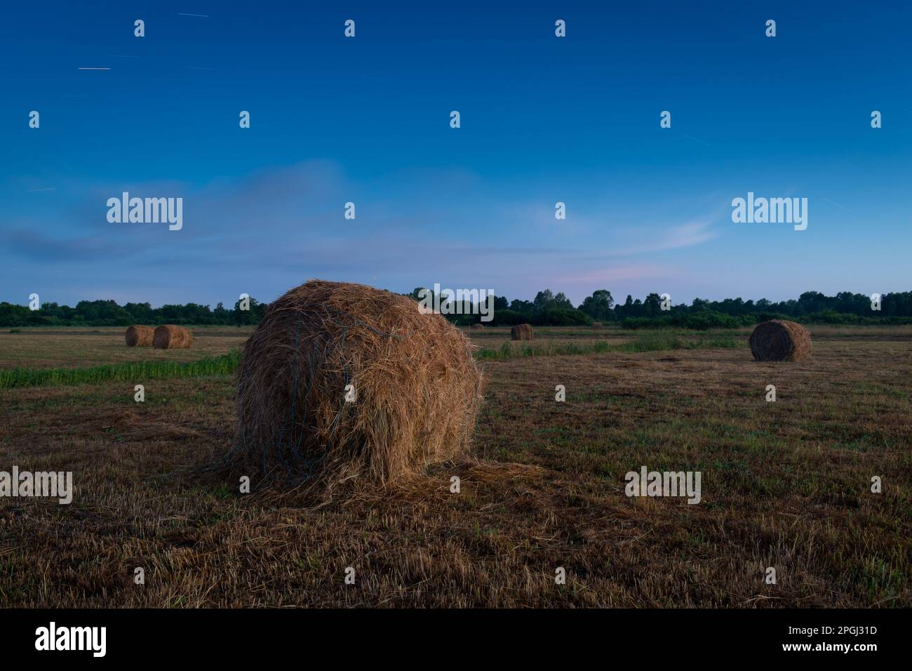 Rollos de heno en el campo en el crepúsculo, balas de rollo y cielo con rastro de estrellas, paisaje rural Foto de stock