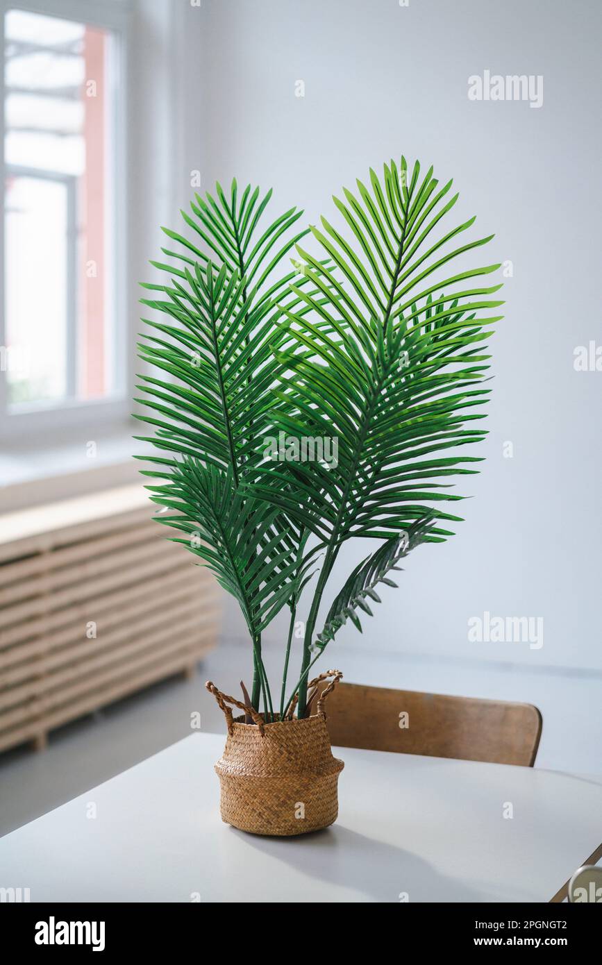 Planta artificial en maceta fotografías e imágenes de alta resolución -  Alamy