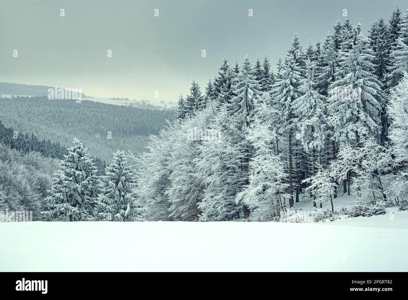 Paisaje invernal cerca de Masserberg en Turingia, Alemania Foto de stock