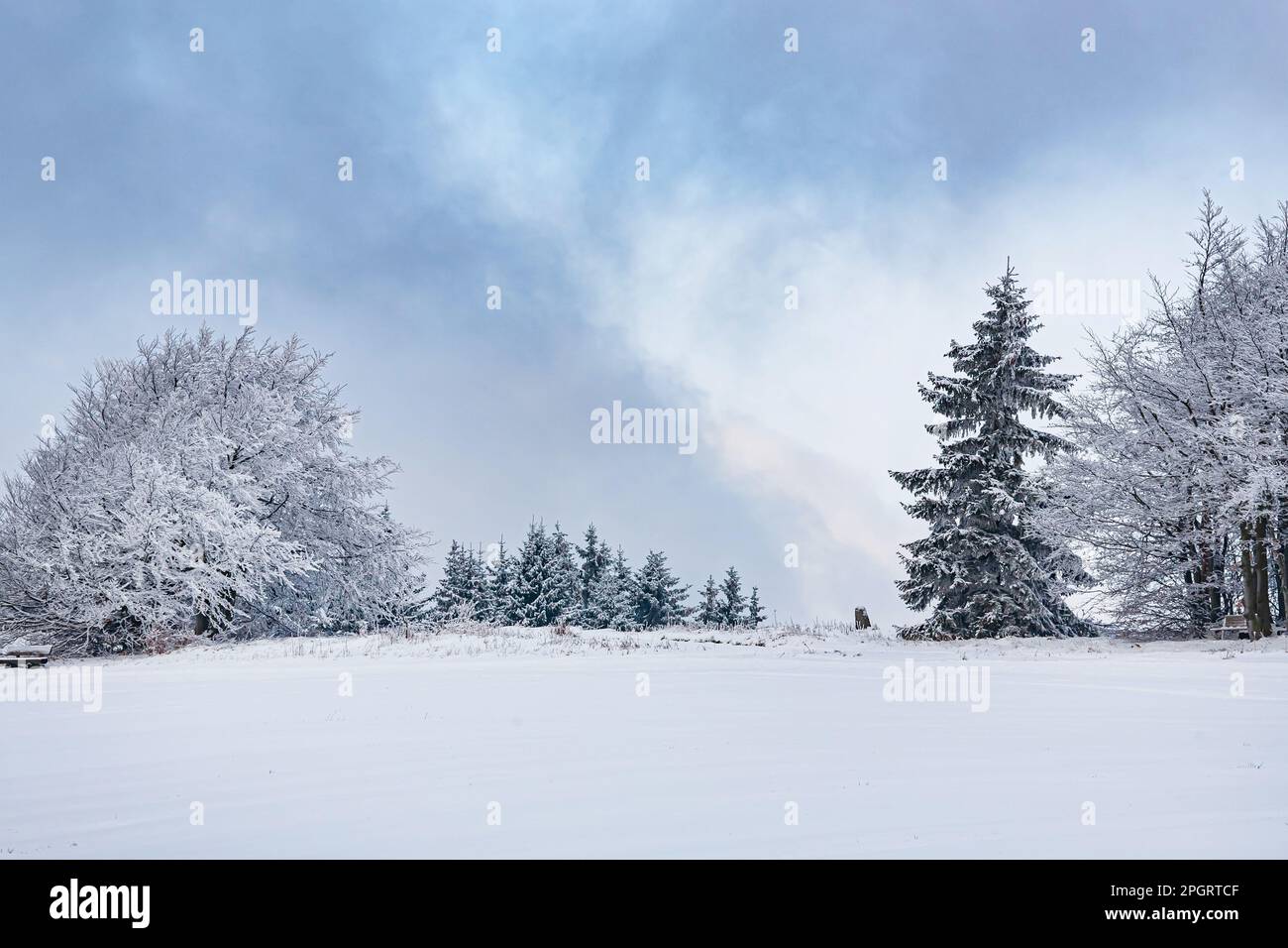Paisaje invernal cerca de Masserberg en Turingia, Alemania Foto de stock