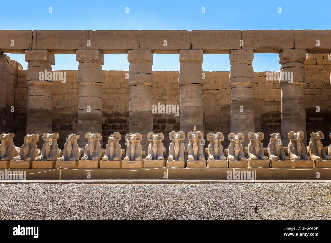 Estatuas de Rams ubicadas detrás del templo de Amun-Ra en los templos de Karnak Foto de stock