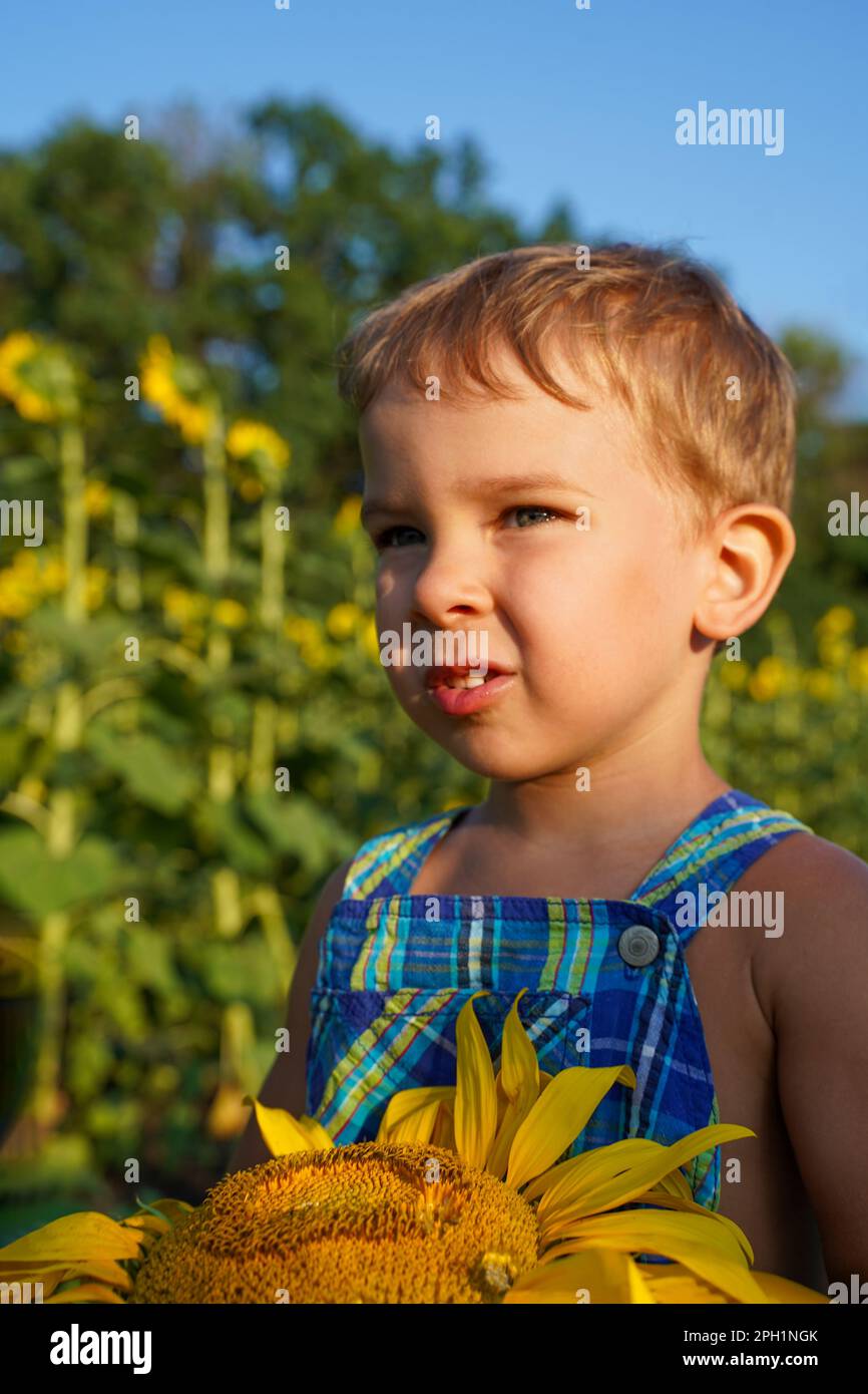 Un niño pequeño en ropa verano se encuentra entre girasoles, una foto jugosa de Feliz infancia despreocupada Fotografía de stock - Alamy