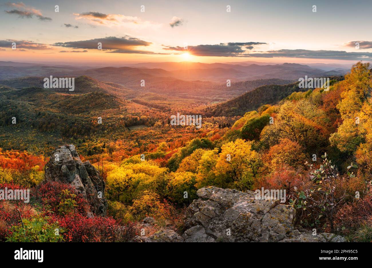 Paisaje de puesta de sol con altas cumbres y valle con bosque de abetos otoñales bajo un vibrante cielo nocturno colorido en las montañas del bosque. Foto de stock