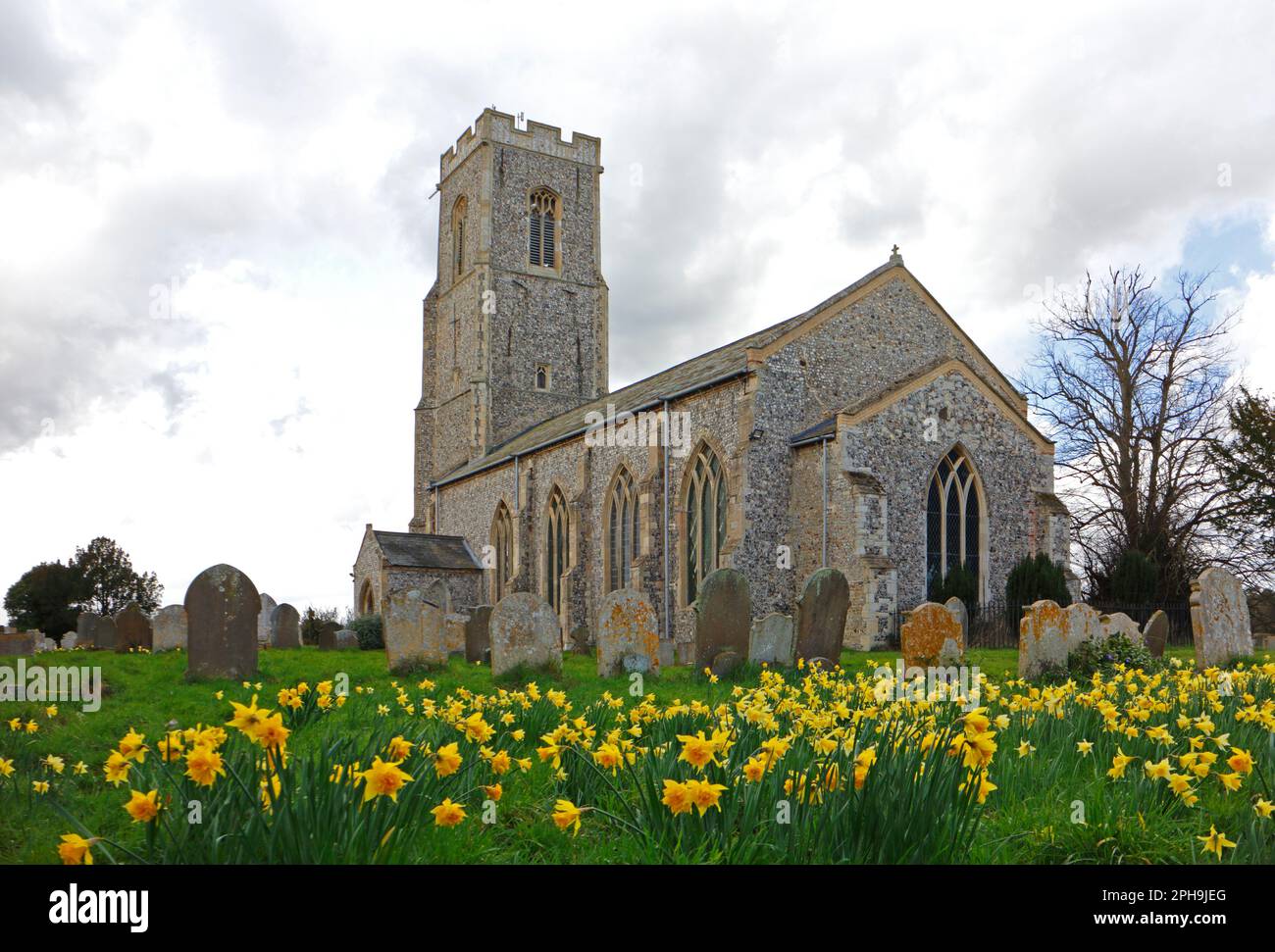 Una vista de la iglesia parroquial de SS. Peter y Paul en primavera con narcisos en North Norfolk en Honing, Norfolk, Inglaterra, Reino Unido. Foto de stock