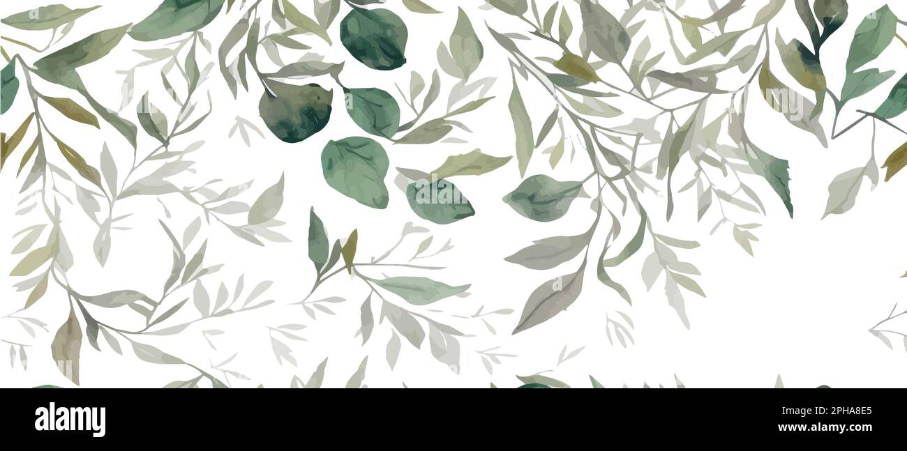 ramas de eucalipto, semillas y hojas. Ramo de eucalipto dibujado a mano