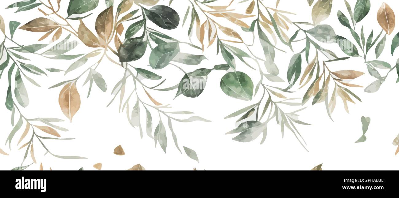 ramas de eucalipto, semillas y hojas. Ramo de eucalipto dibujado a mano