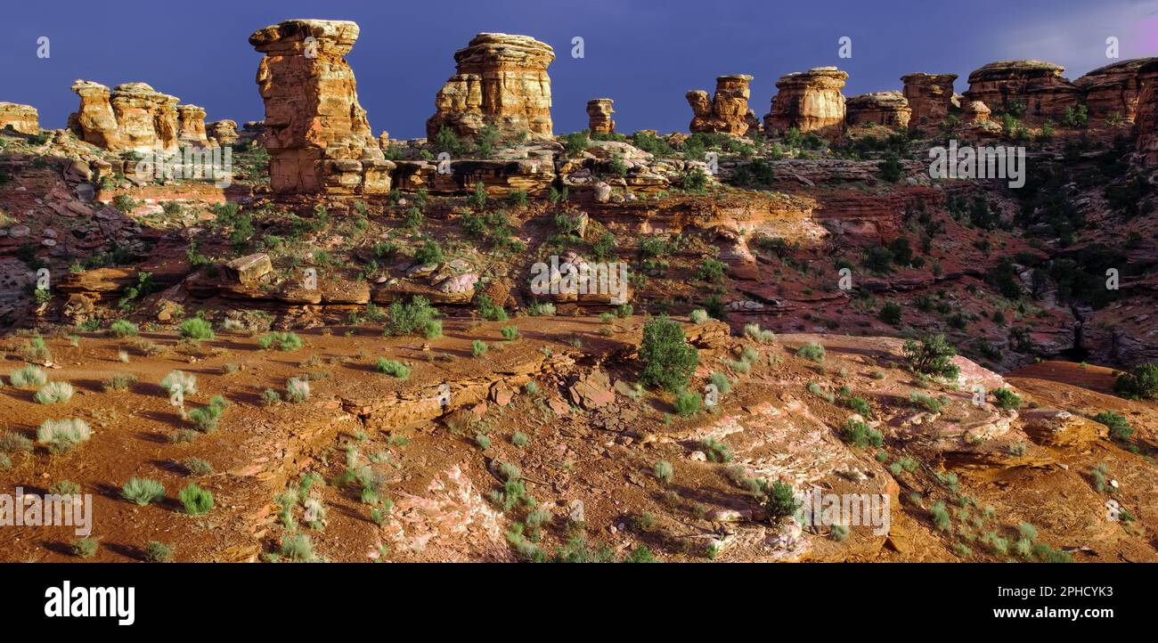 Monumento Nacional Canyonlands (zona sur) Utah Foto de stock