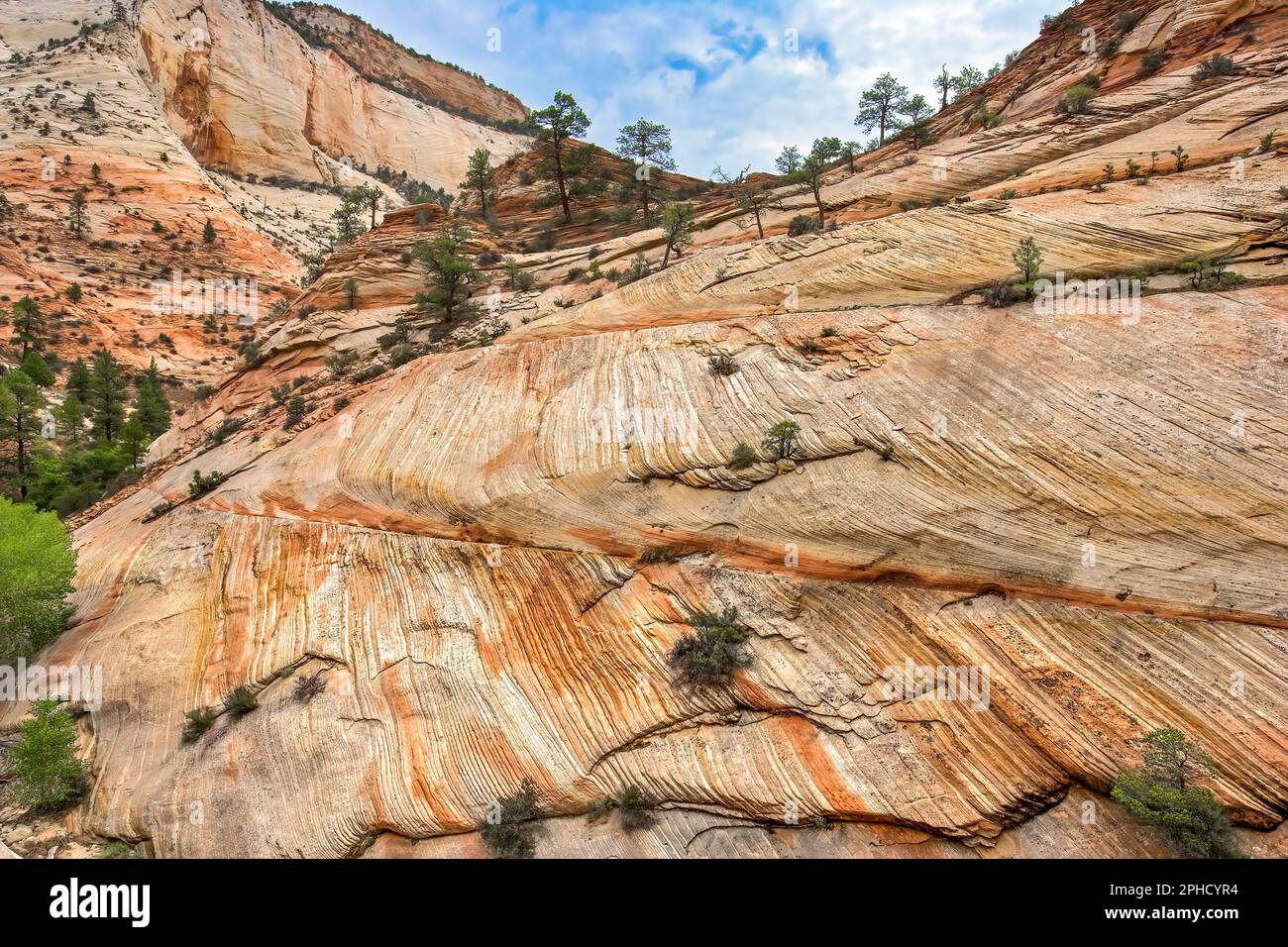Formación de piedra arenisca Crossbedding - Parque Nacional Zion Utah Foto de stock