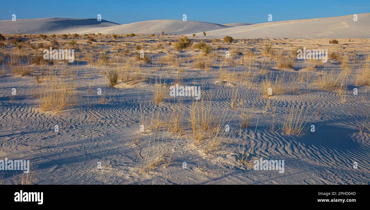 El White Sands National Monument Foto de stock