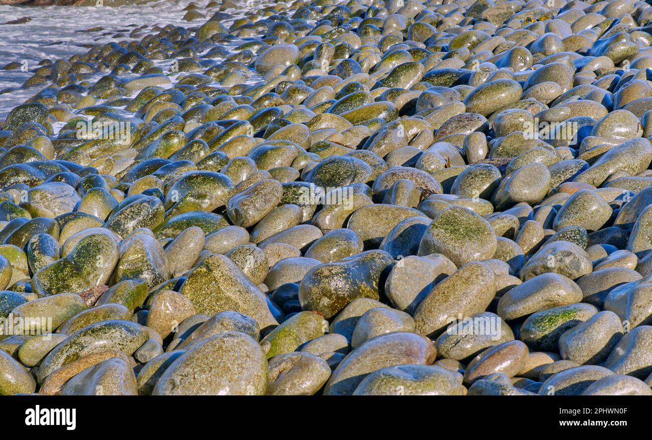 Rocas redondas erosionadas junto al mar en la ruta de senderismo de la península de Labillardiere, el Parque Nacional de South Bruny, la isla de Bruny, Tasmania, Australia Foto de stock