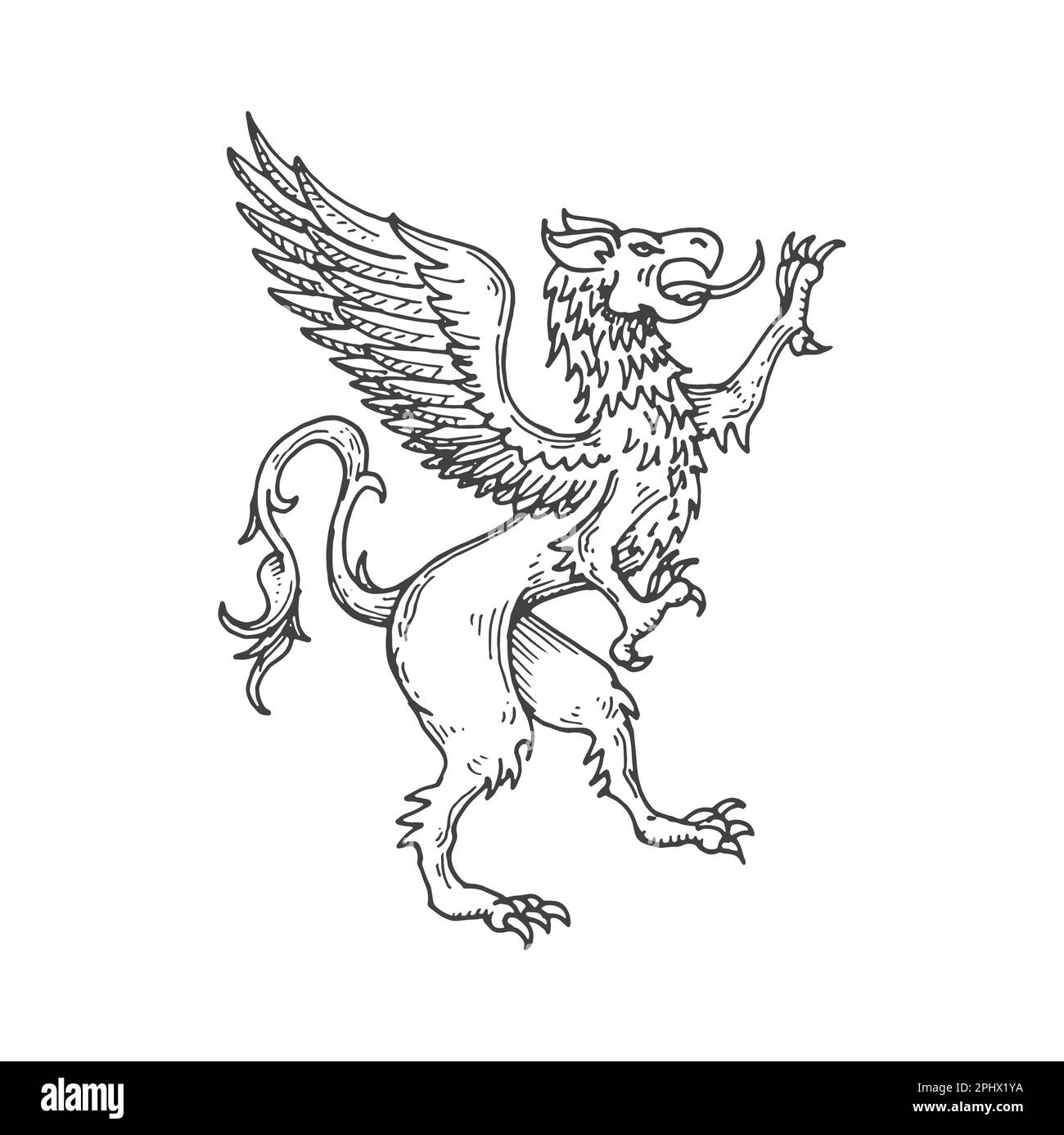 Griffin o gryphon dibujo de animales heráldicos medievales. Bestia ...