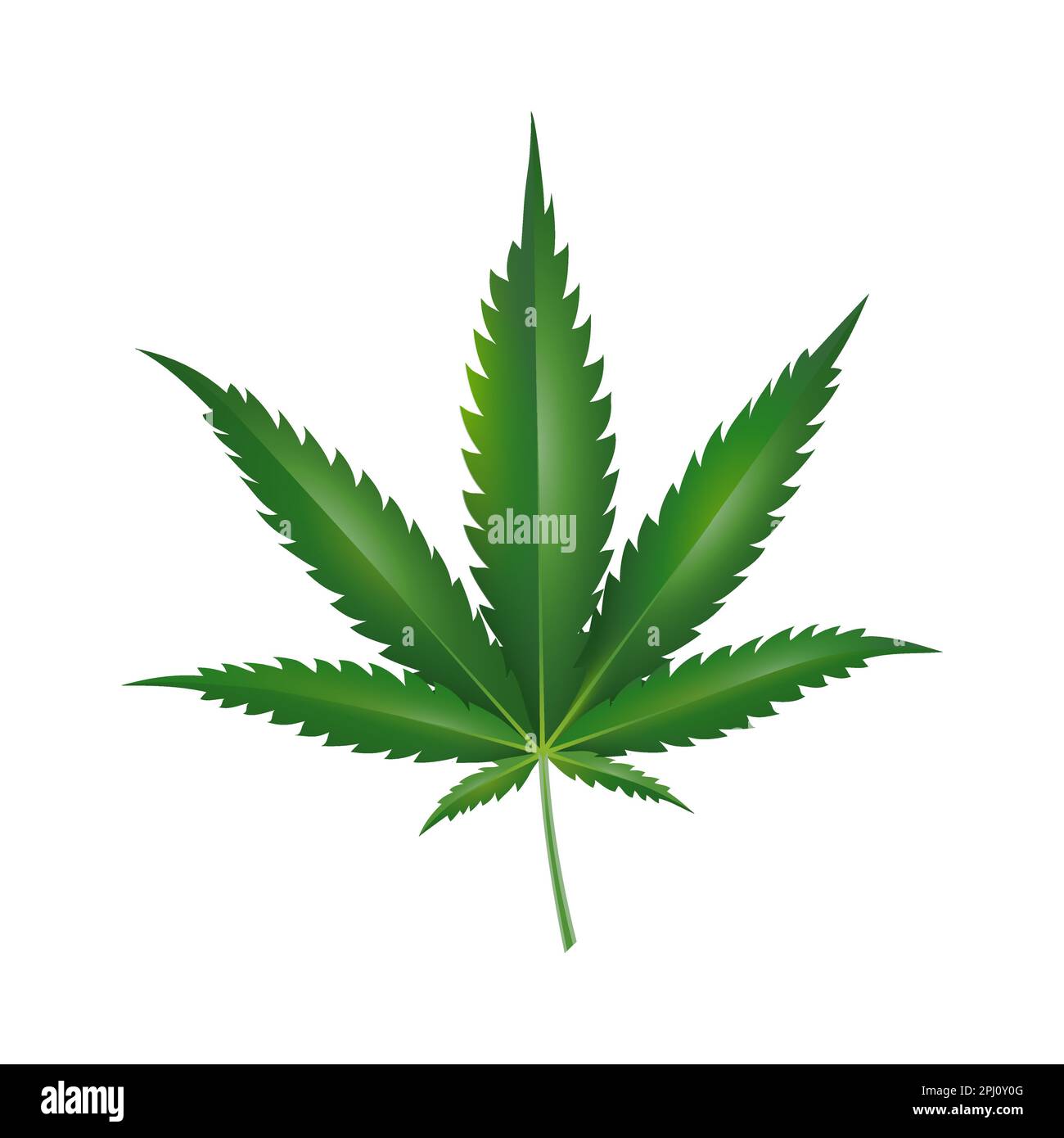 Hoja de marihuana. Hoja de cáñamo verde ilustración vectorial. Logotipo de medicina herbal. Aislado sobre un fondo blanco. Ilustración del Vector