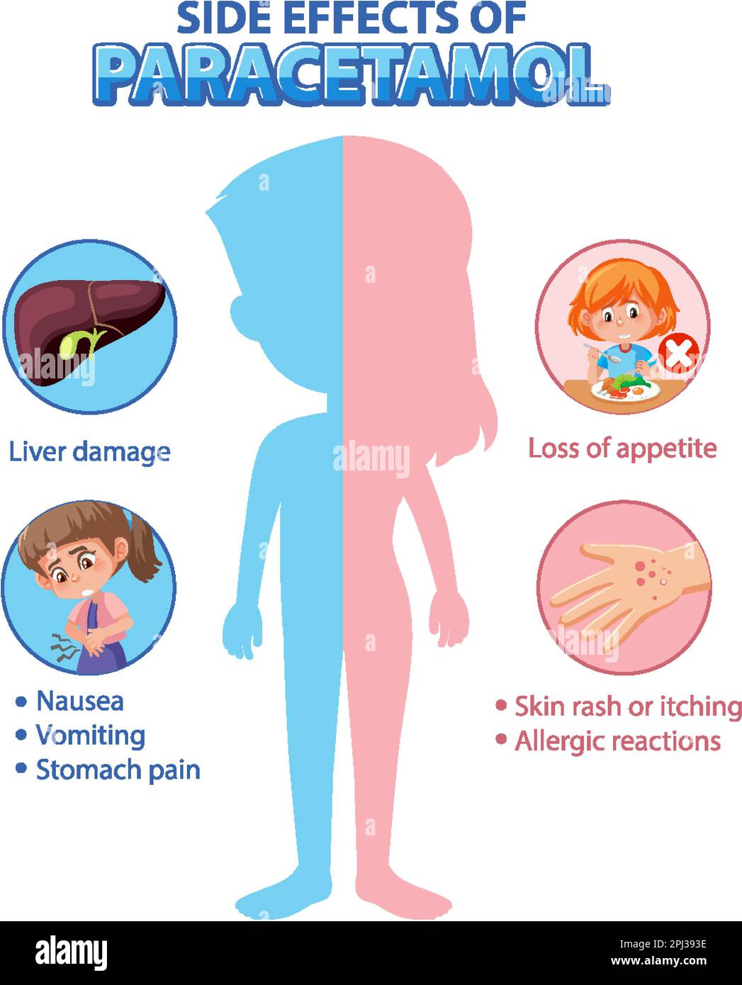 Estilo de dibujos animados de diagrama de anatomía humana de