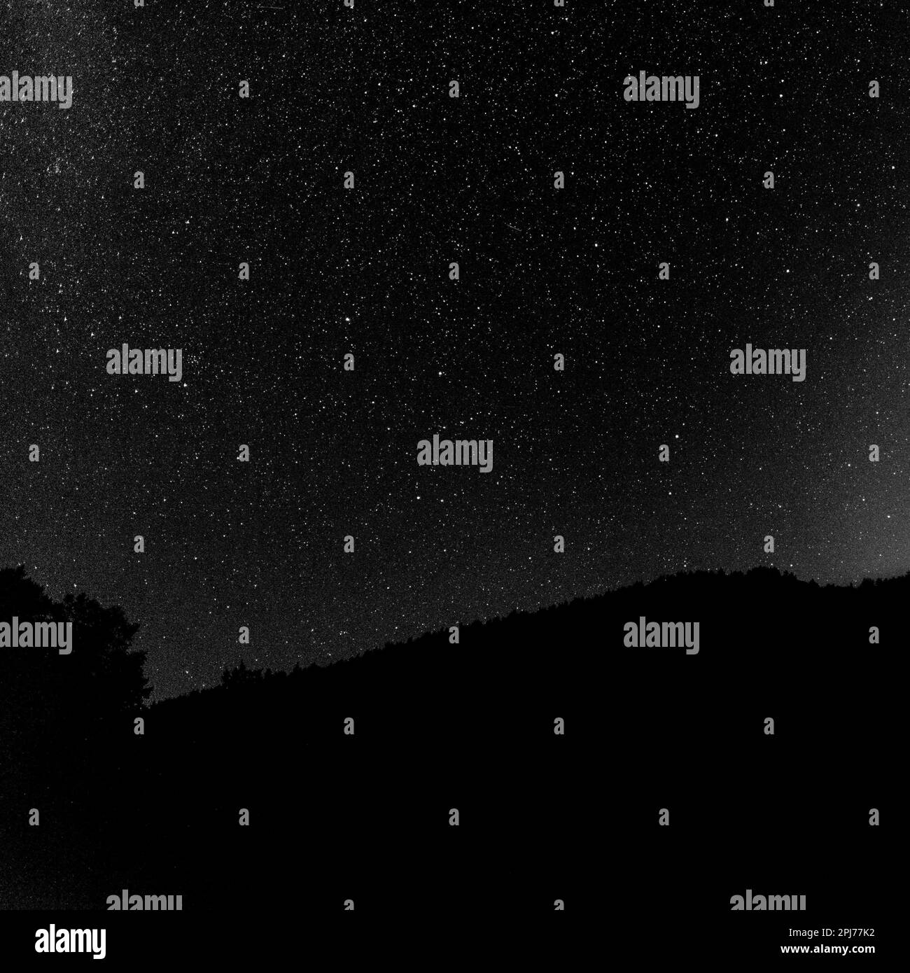 Cielo estrellado sobre las siluetas de los árboles del bosque y una roca en la oscuridad por la noche en el Altai Foto de stock