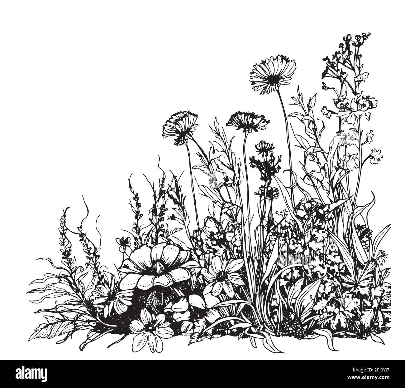 Parte de campo de flores silvestres dibujado a mano boceto en la ilustración de estilo doodle Ilustración del Vector