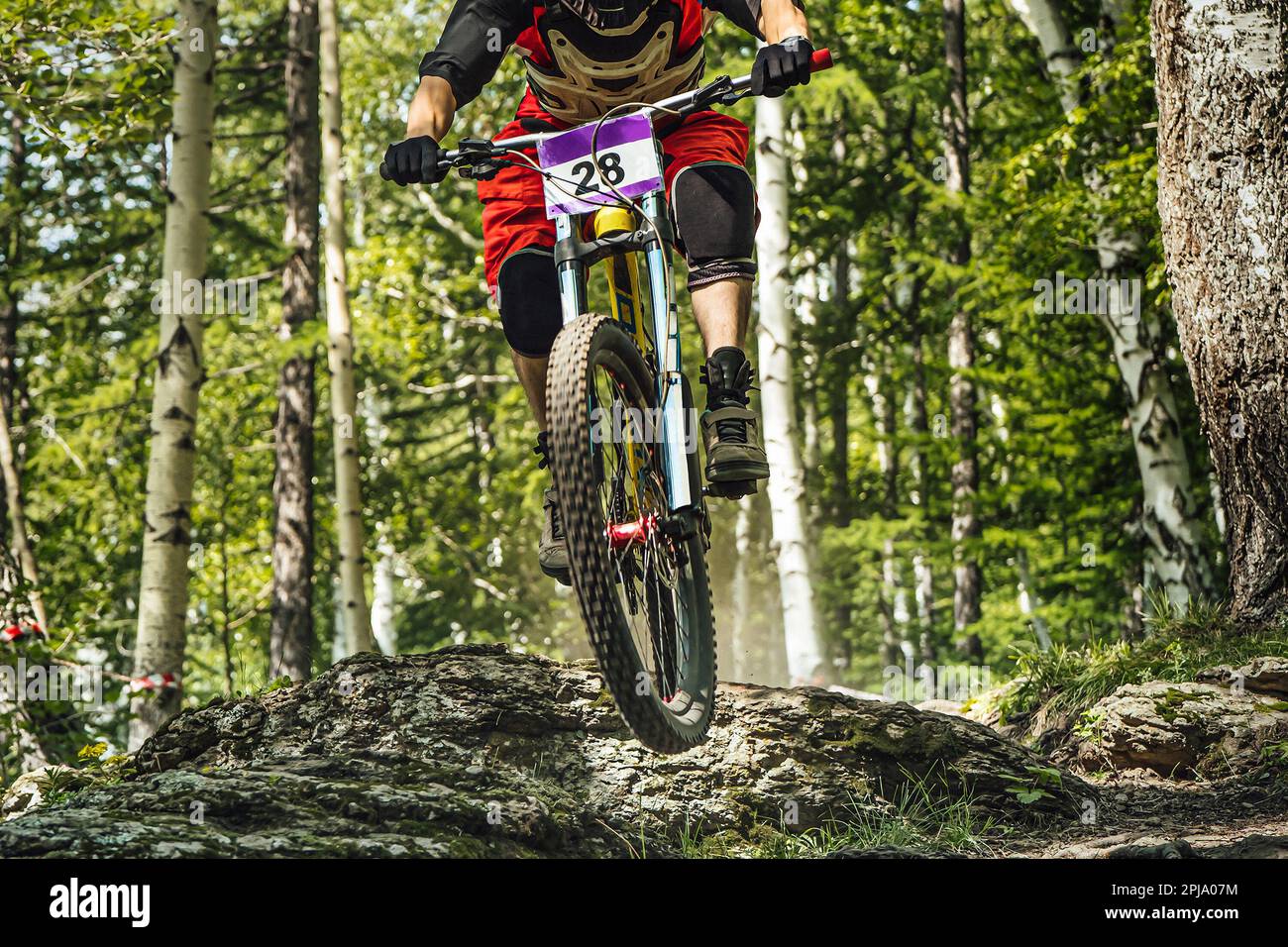 Close-up jinete masculino en bicicleta de descenso que monta el sendero del  bosque, carreras de DH bicicleta de montaña, juegos de deporte extremo  Fotografía de stock - Alamy