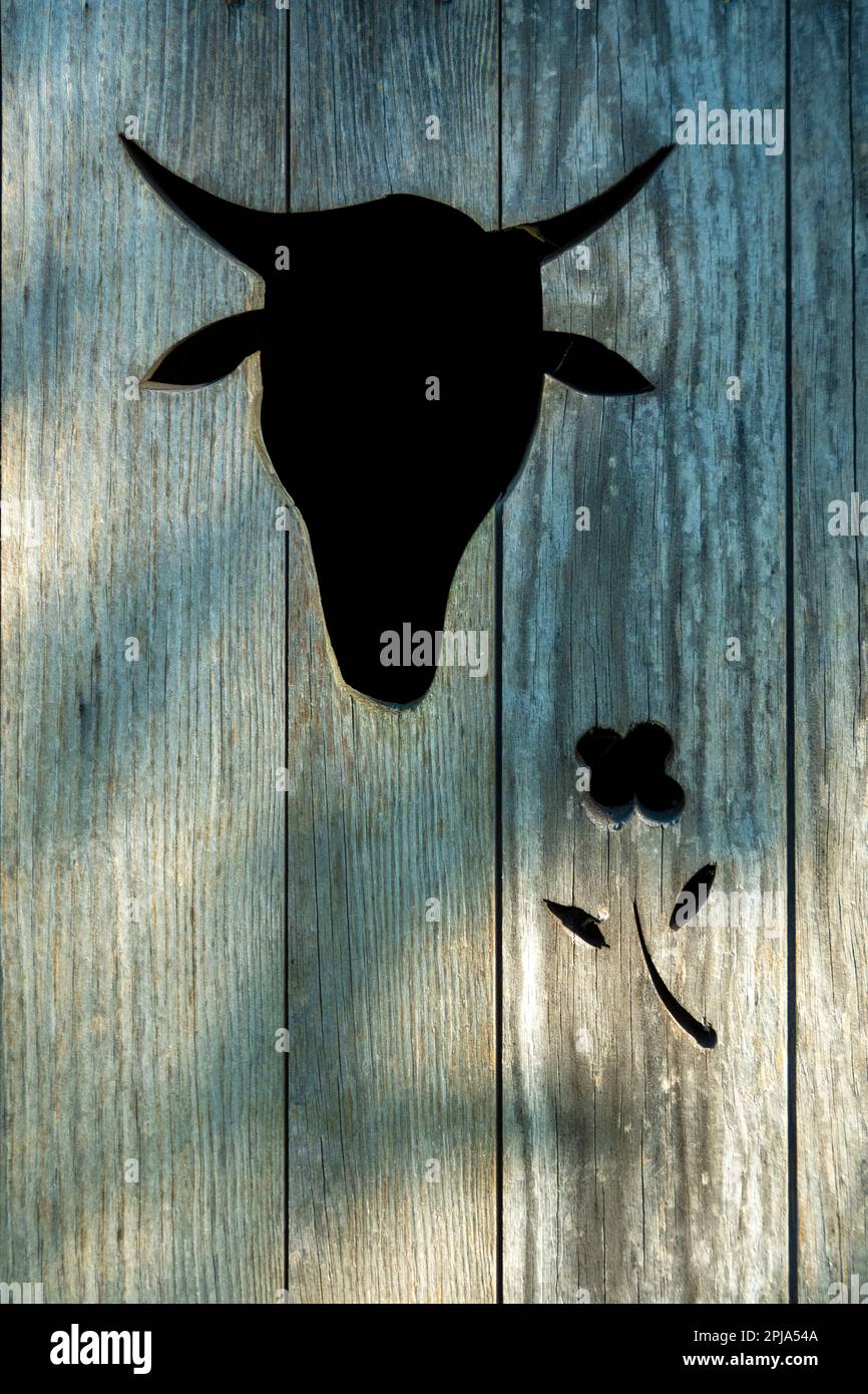 Silueta de la cabeza de una vaca en una puerta de madera Foto de stock