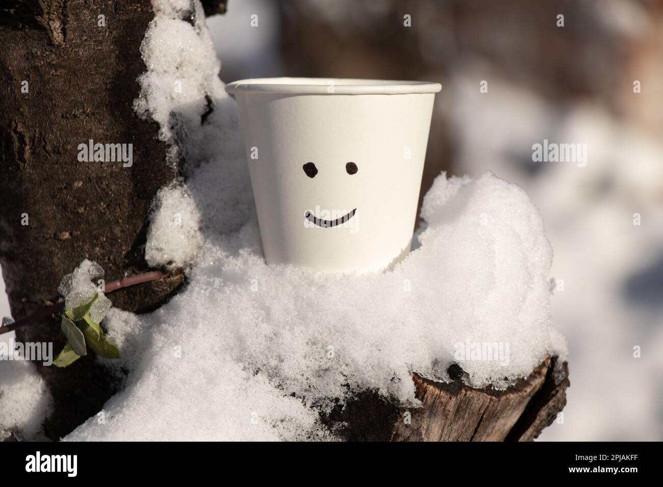 un cristal blanco de papel en la nieve y una sonrisa se pintan en ella Foto de stock
