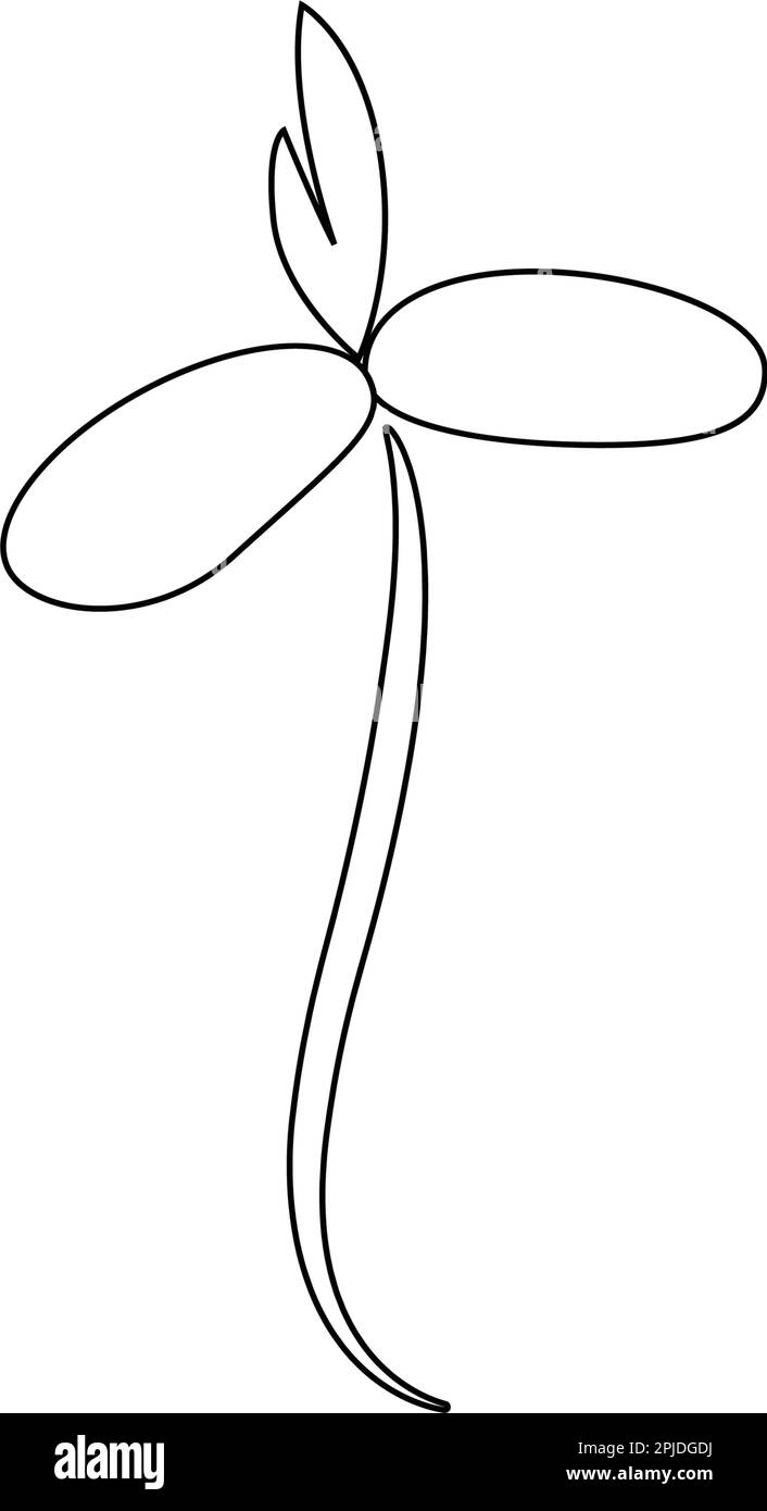 Crecimiento de frijol Imágenes vectoriales de stock Alamy