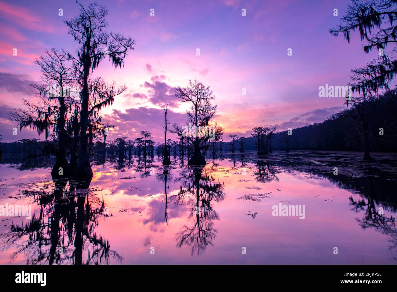 Caddo Lake al amanecer Foto de stock