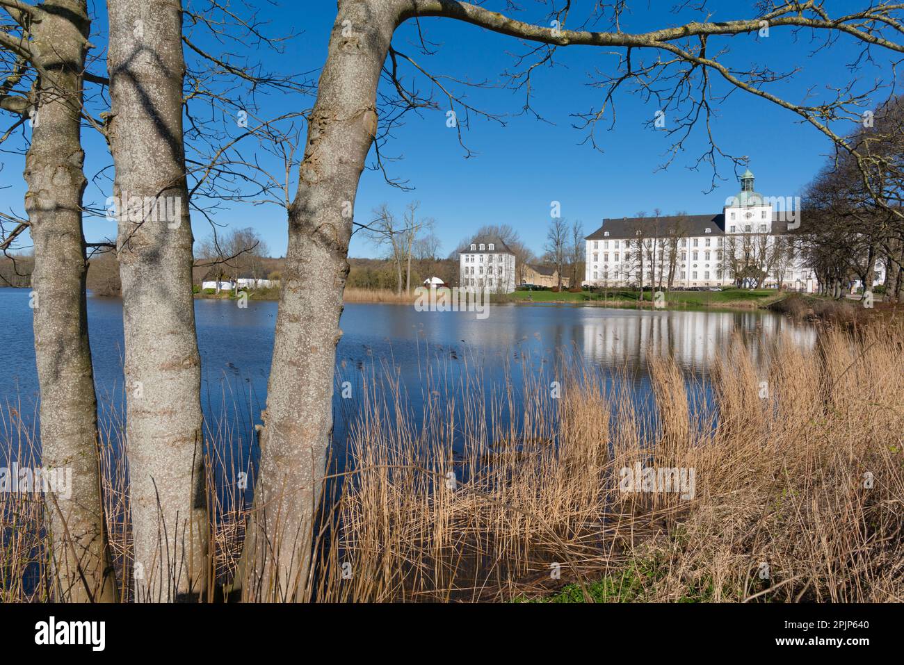 Castillo Gottorf, antigua sede del duque, hoy en día un museo, ciudad de Schleswig en el fiordo de Schlei, Schleswig-Holstein, norte de Alemania, Europa Central Foto de stock