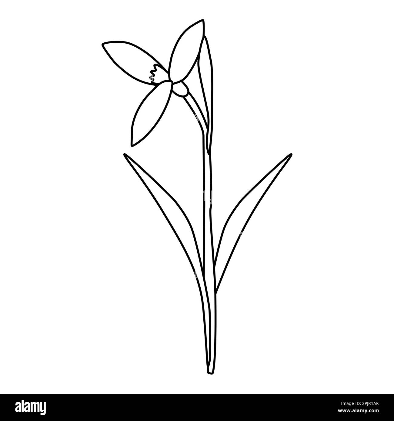 Elevación de la flor de primavera de la gota de nieve, brote abierto, ilustración de contorno de vector plano de estilo doodle para niños para colorear libro Ilustración del Vector