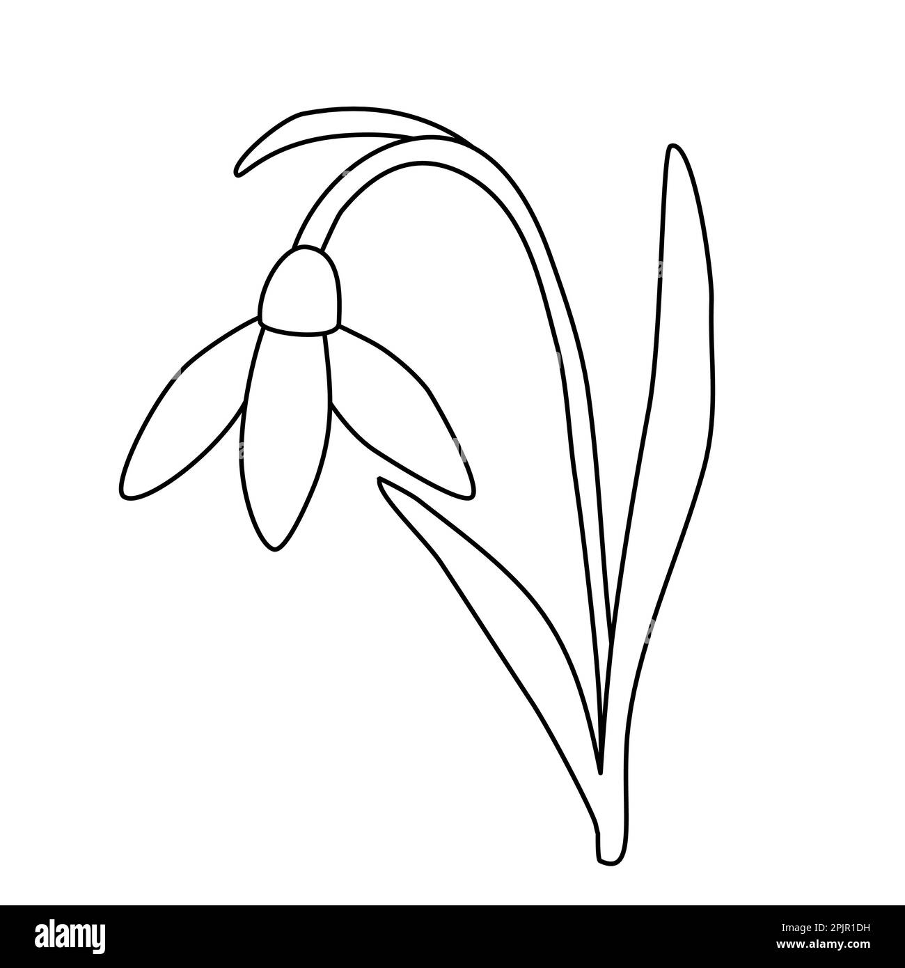 Flor de primavera de gota de nieve inclinada, brote abierto, ilustración de contorno de vector plano de estilo doodle para niños para colorear libro Ilustración del Vector