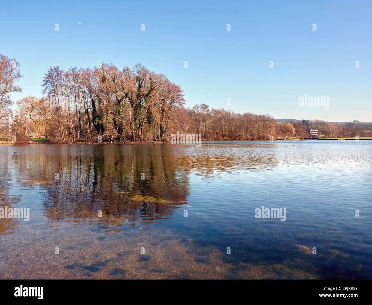 Un grupo de árboles sin hojas en invierno se refleja en la superficie de un lago, con un cielo de invierno azul claro por encima Foto de stock