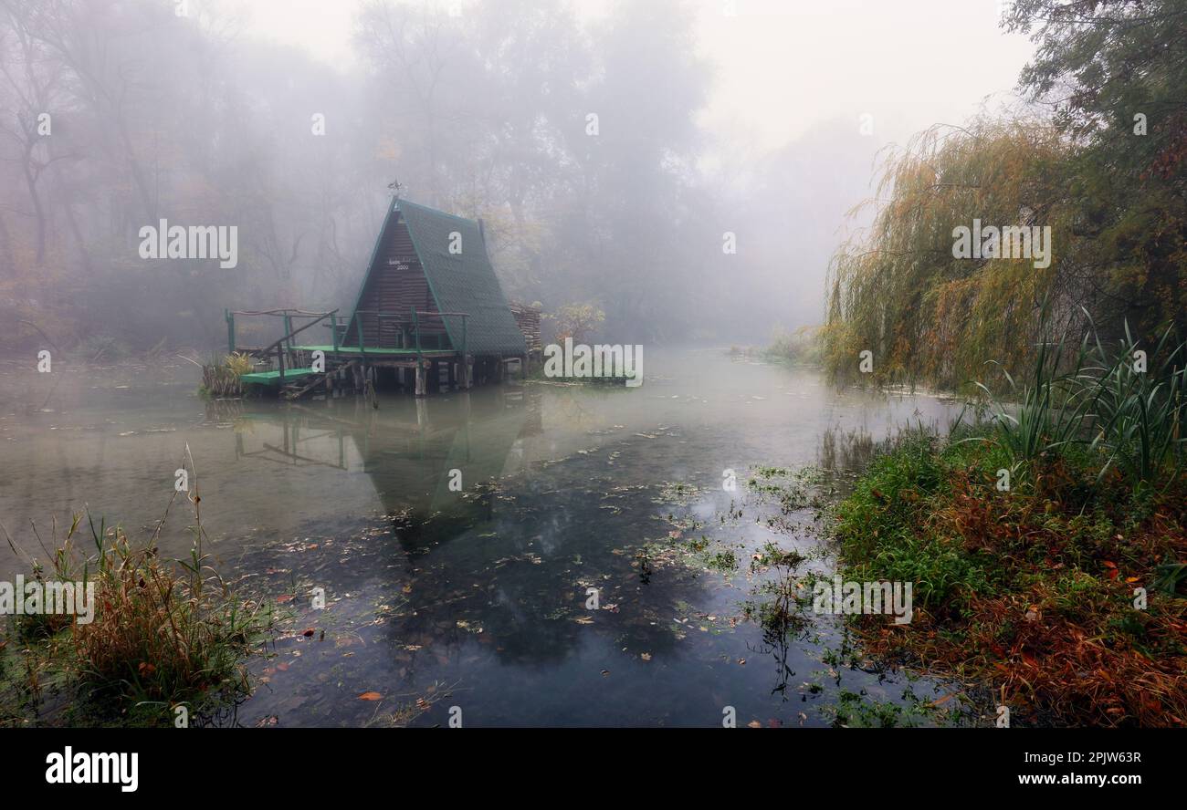 Pantano místico con árboles con un reflejo en el agua en una mañana de niebla. Foto de stock