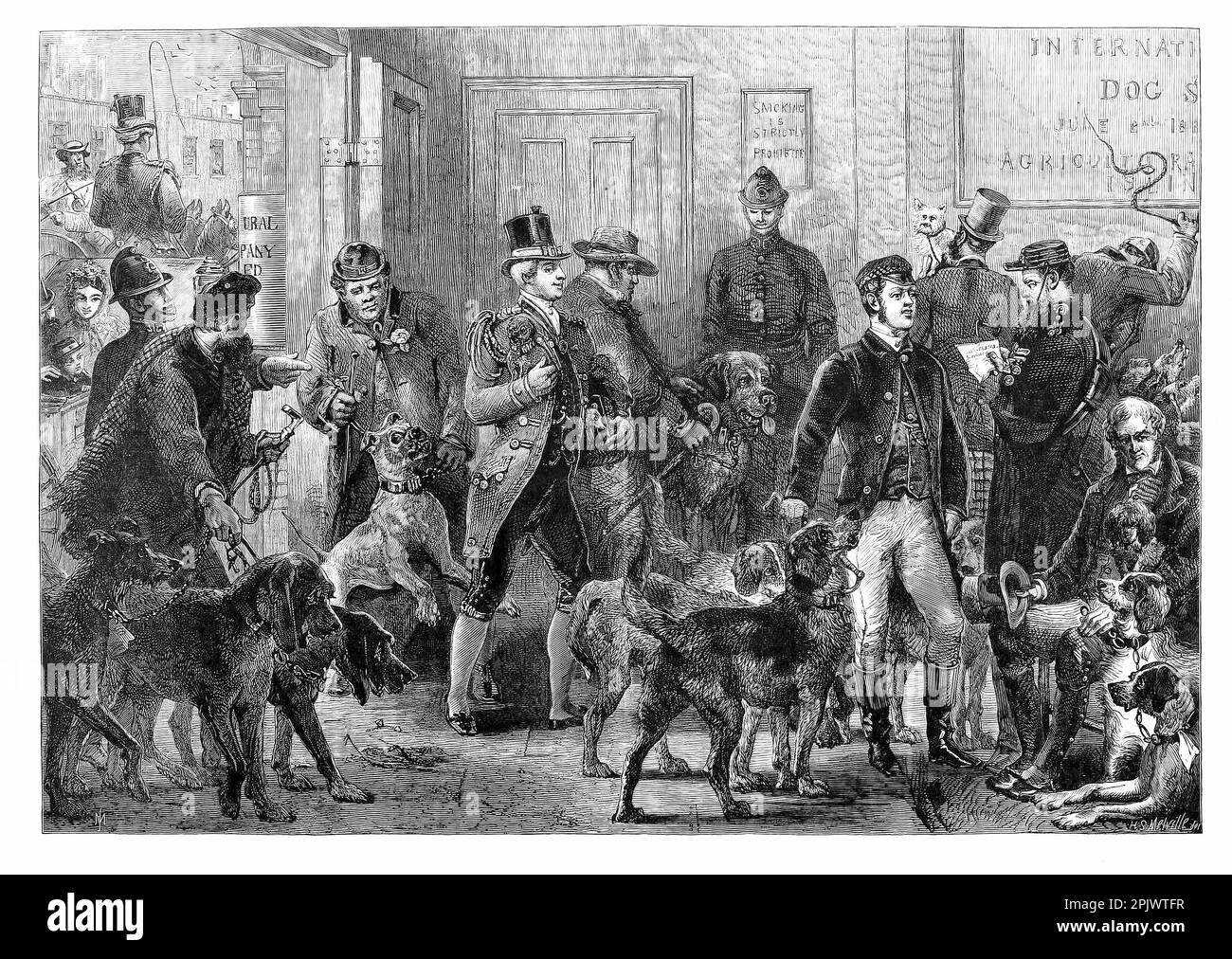 Los perros llegan a la Exposición Canina Internacional de 1865 en Islington, 8 años antes de que la exposición canina Crufts debute en el mismo lugar de Londres. Ilustración de Harden Sidney Melville Foto de stock