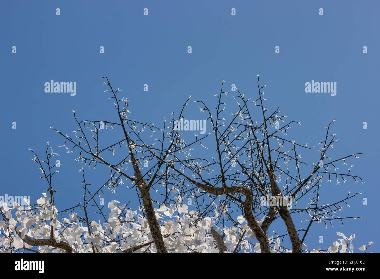 Arbol artificial fotografías e imágenes de alta resolución - Alamy