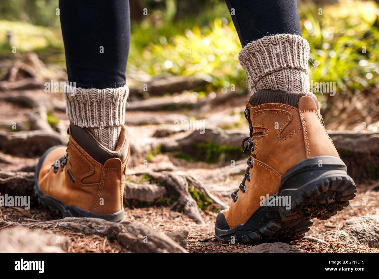 Botas de senderismo. Camine por el sendero de trekking en el bosque.  Botines de piel y calcetines de alpaca de punto Fotografía de stock - Alamy