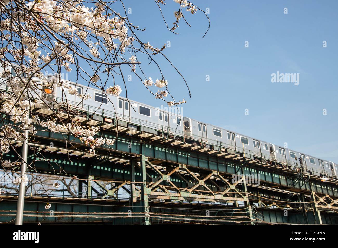 Tren elevado Foto de stock