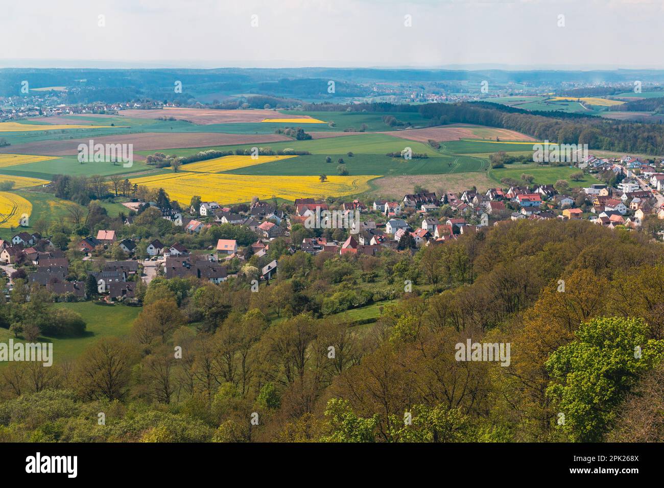 Campo de Bamberg con campos de colza amarilla en flor Foto de stock