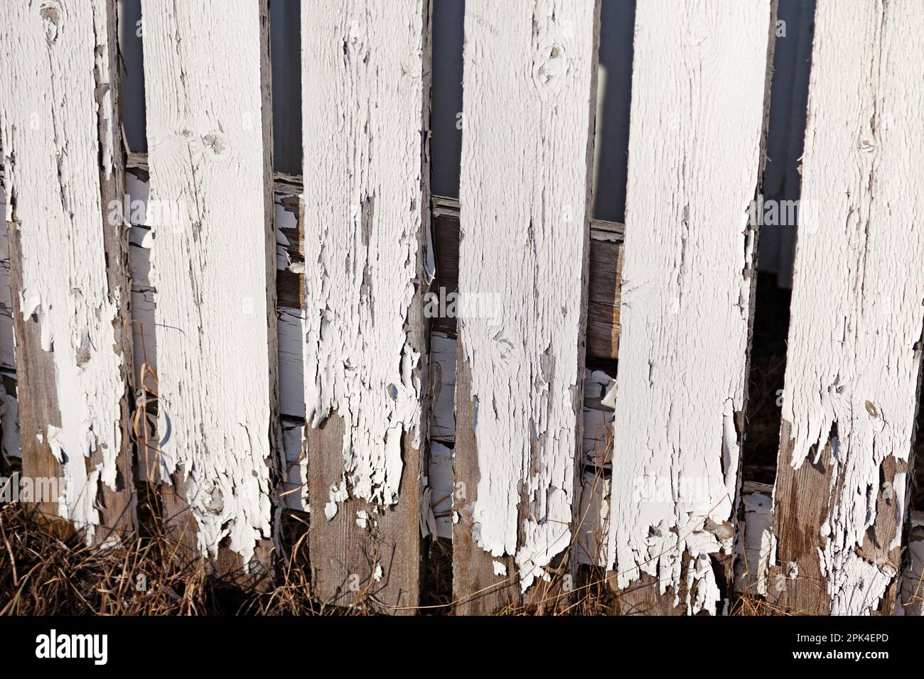 una valla de madera donde la pintura blanca se está pelando Fotografía de  stock - Alamy