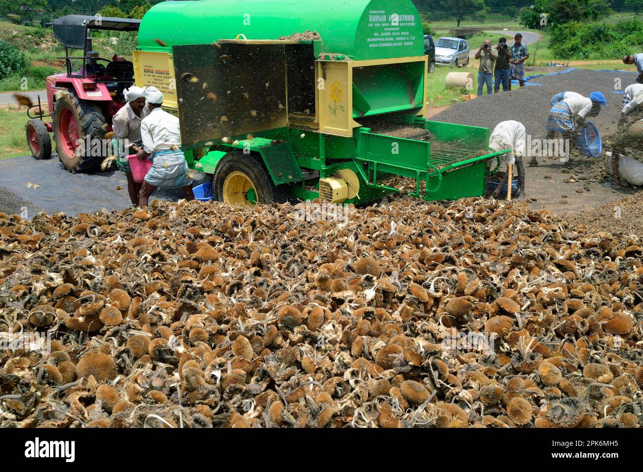 Cosecha de girasol fotografías e imágenes de alta resolución - Alamy