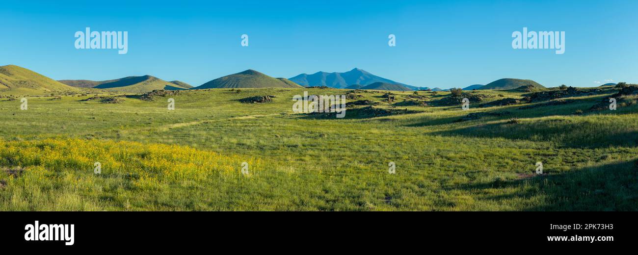 Montañas y prado, Arizona, Estados Unidos Foto de stock