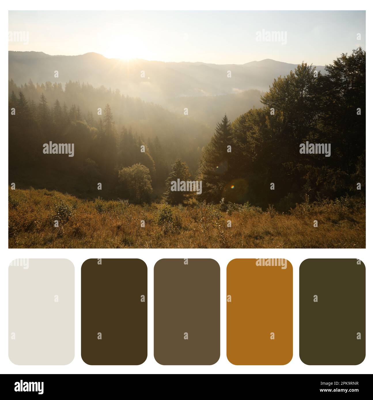 Paleta de colores apropiada para la foto del hermoso paisaje de montaña en la mañana Foto de stock