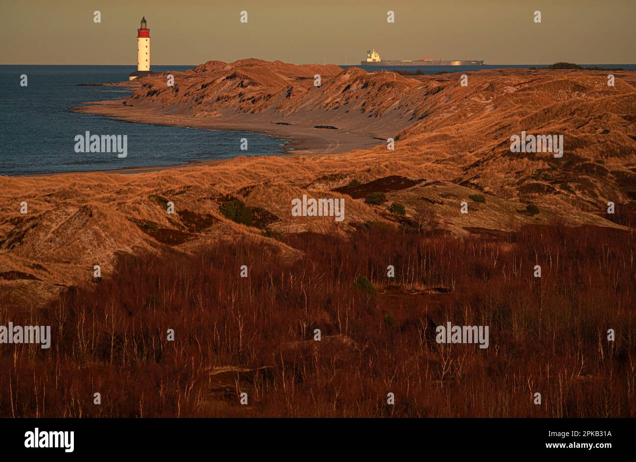 Faro, Isla Anholt, Kattegat, Mar Báltico, Dinamarca Foto de stock